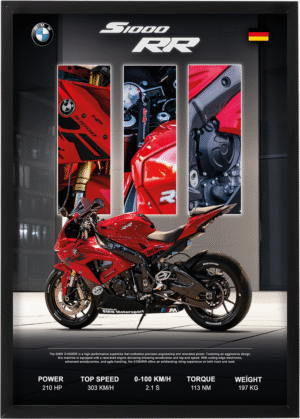 Bmw S1000RR (Kopya) 5
